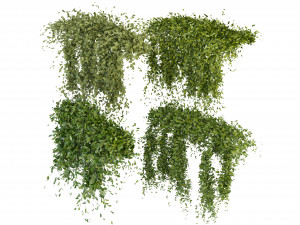 Collection Plant Vol 293 - Blender Model 3D Model