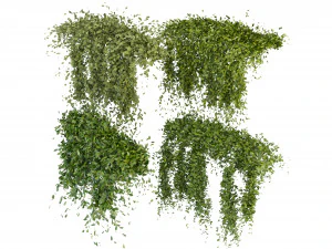 Collection Plant Vol 293 - Blender Model 3D Model
