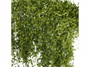 Collection Plant Vol 293 - Blender Model 3D Model