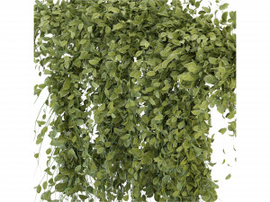 Collection Plant Vol 293 - Blender Model 3D Model