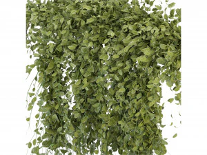 Collection Plant Vol 293 - Blender Model 3D Model