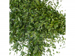 Collection Plant Vol 293 - Blender Model 3D Model