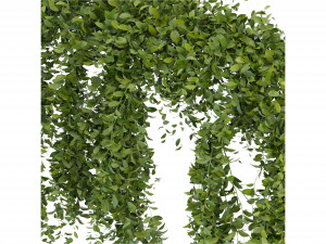 Collection Plant Vol 293 - Blender Model 3D Model