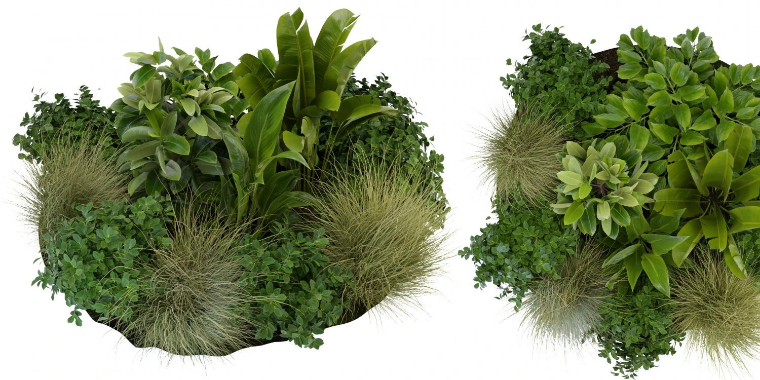 Collection Plant Vol 294 - Blender Model 3D Model .c4d .max .obj .3ds .fbx .stl .blend 