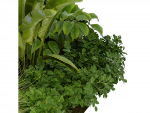 Collection Plant Vol 294 - Blender Model 3D Model
