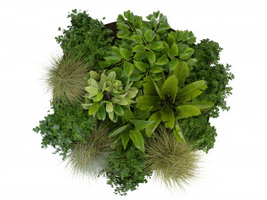 Collection Plant Vol 294 - Blender Model 3D Model