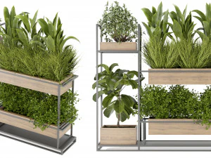 Collection Plant Vol 296 - Blender Model 3D Model