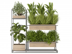 Collection Plant Vol 296 - Blender Model 3D Model