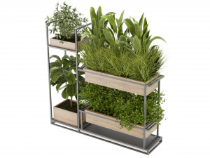 Collection Plant Vol 296 - Blender Model 3D Model