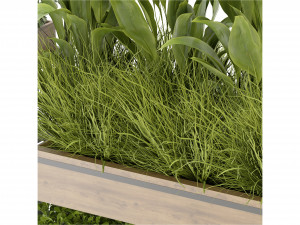 Collection Plant Vol 296 - Blender Model 3D Model
