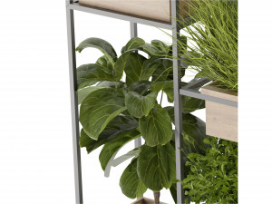 Collection Plant Vol 296 - Blender Model 3D Model