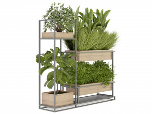 Collection Plant Vol 296 - Blender Model 3D Model