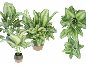 Collection Plant Vol 298 - Blender Model 3D Model