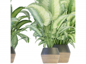 Collection Plant Vol 298 - Blender Model 3D 模型