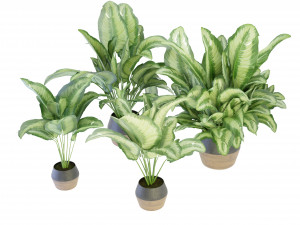 Collection Plant Vol 298 - Blender Model 3D 模型