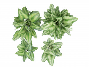 Collection Plant Vol 298 - Blender Model 3D 模型