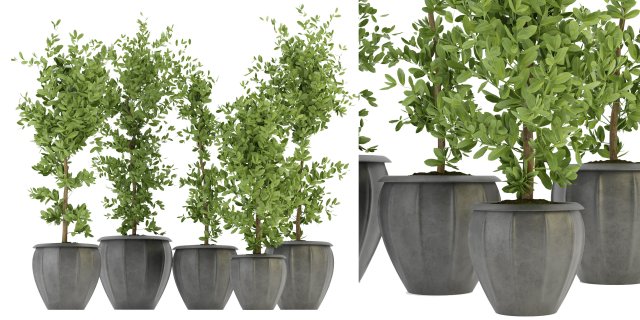 Collection Plant Vol 299 - Blender Model Modèle 3D .c4d .max .obj .3ds .fbx .stl .blend 
