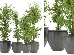 Collection Plant Vol 299 - Blender Model 3D Model