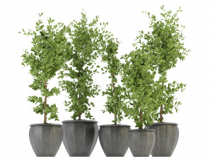 Collection Plant Vol 299 - Blender Model Modèle 3D