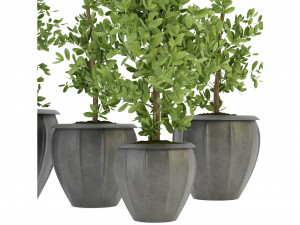 Collection Plant Vol 299 - Blender Model Modèle 3D