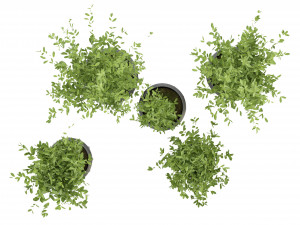 Collection Plant Vol 299 - Blender Model Modèle 3D