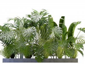 Collection Plant Vol 300 - Blender Model 3D Модель