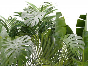 Collection Plant Vol 300 - Blender Model 3D Модель