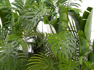 Collection Plant Vol 300 - Blender Model 3D Модель