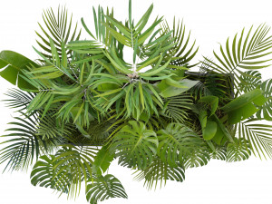 Collection Plant Vol 300 - Blender Model 3D Модель