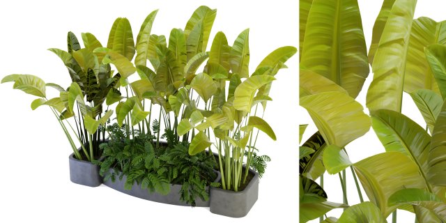 Collection Plant Vol 301 - Blender Model Modelo 3D .c4d .max .obj .3ds .fbx .stl .blend 
