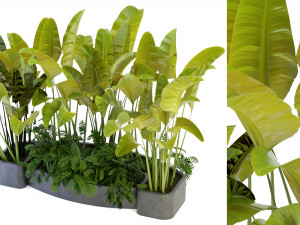 Collection Plant Vol 301 - Blender Model Model 3D