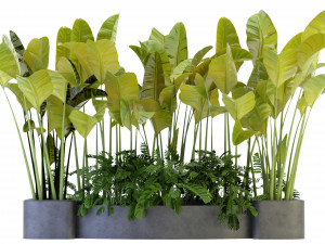 Collection Plant Vol 301 - Blender Model Modelo 3D
