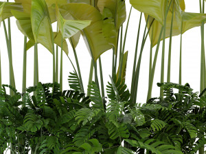 Collection Plant Vol 301 - Blender Model Modelo 3D