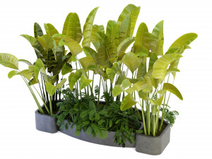 Collection Plant Vol 301 - Blender Model Modelo 3D