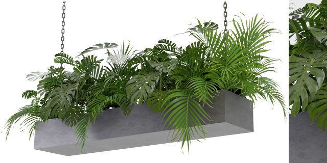 Collection Plant Vol 306 - Blender Model 3D-Modell .c4d .max .obj .3ds .fbx .stl .blend 