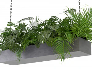 Collection Plant Vol 306 - Blender Model 3D Model