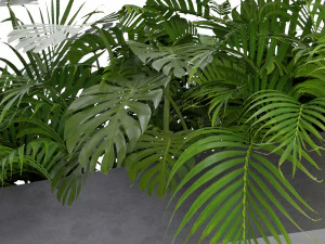 Collection Plant Vol 306 - Blender Model 3D Model