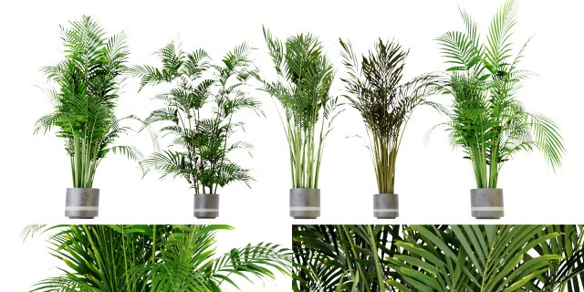 Collection Plant Vol 307 - Blender Model Model 3D .c4d .max .obj .3ds .fbx .stl .blend 
