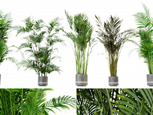 Collection Plant Vol 307 - Blender Model 3D Модель