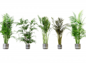 Collection Plant Vol 307 - Blender Model Model 3D