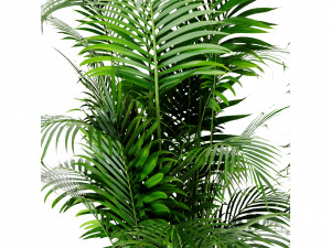 Collection Plant Vol 307 - Blender Model Model 3D