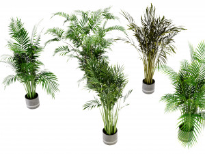 Collection Plant Vol 307 - Blender Model Model 3D