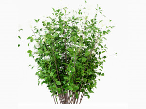 Collection Plant Vol 308 - Blender Model Modelo 3D