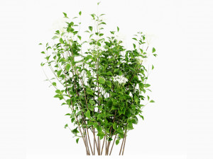 Collection Plant Vol 308 - Blender Model Modelo 3D