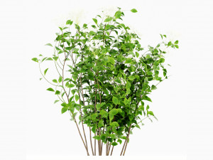 Collection Plant Vol 308 - Blender Model Modelo 3D