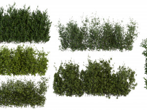 Collection Plant Vol 309 - Blender Model 3D Модель