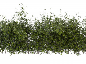Collection Plant Vol 309 - Blender Model Modello 3D
