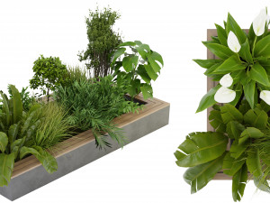 Collection Plant Vol 313 - Blender Model 3D मॉडल