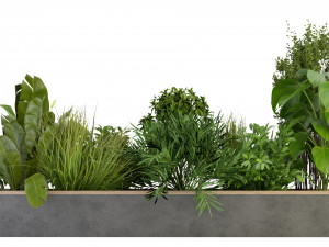 Collection Plant Vol 313 - Blender Model Model 3D