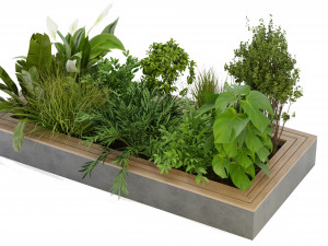 Collection Plant Vol 313 - Blender Model Model 3D